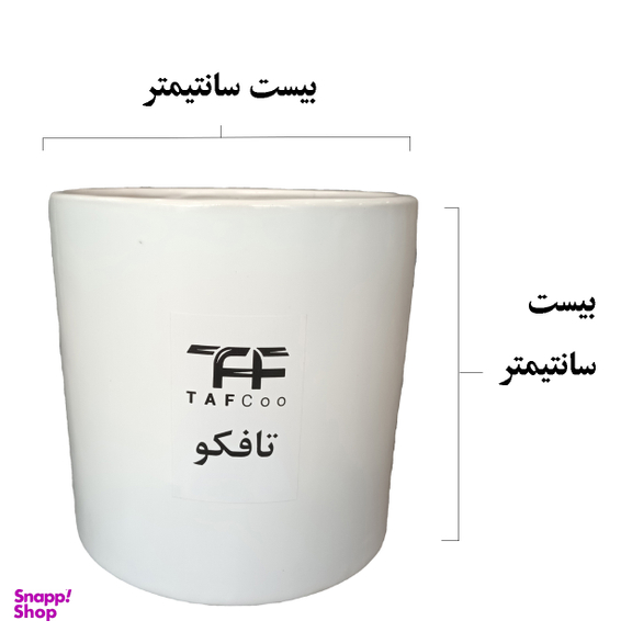گیاه طبیعی مانسترا تافکو مدل پنجه شیری کد 2x