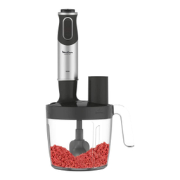 گوشت کوب برقی مولینکس مدل DD65J827