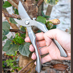 قیچی باغبانی فونیکس مدل ZG08