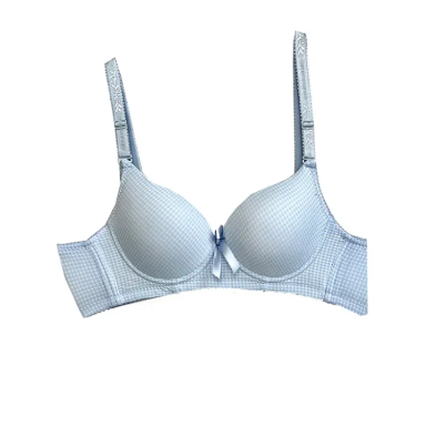 سوتین زنانه کد 531 رنگ آبی روشن