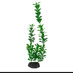گیاه تزیینی آکواریوم مدل سانترا کد S25