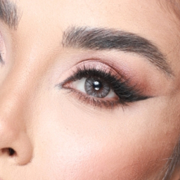 لنز فصلی بیوتی مدل N21OB شماره 206 رنگ طوسی روشن دور مشکی