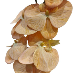 گل ارکیده مصنوعی کد 053 رنگ خردلی
