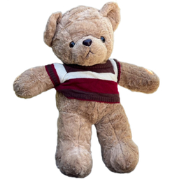 عروسک پولیشی مدل خرس لباس دار سایز 50 سانتی متر