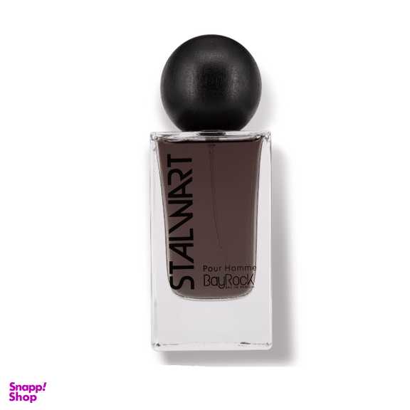 ادوپرفیوم مردانه بایراک مدل استالوارت حجم 100 میلی لیتر