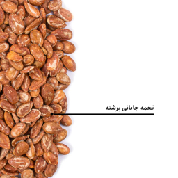 تخمه جابانی برشته بارجیل