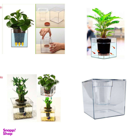 آکواریوم مدل گلدان شفاف کد 15×15