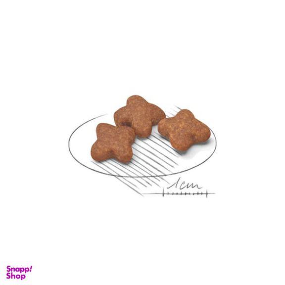 غذای خشک رویال کنین مدل مینی ادالت وزن 2000 گرم