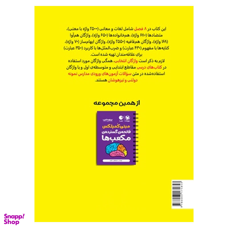 کتاب مینی کمپلکس دانستنی های هوش کلامی اثر مصطفی باقری انتشارات مهر و ماه