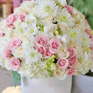 باکس گل طبیعی نلا