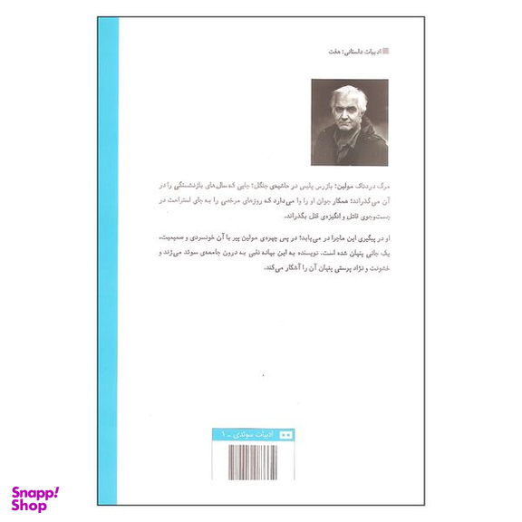 کتاب بازگشت استاد رقص اثر هنینگ مانکل انتشارات هیرمند