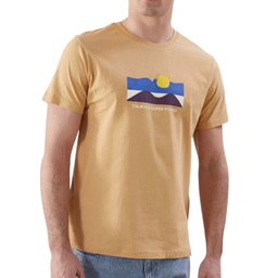 تیشرت مردانه ال سی وایکیکی مدل turk589