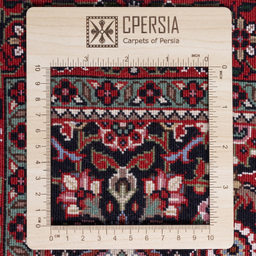 فرش دستباف کناره سی پرشیا کد 174226 سایز 63x300 سانتی‌ متر