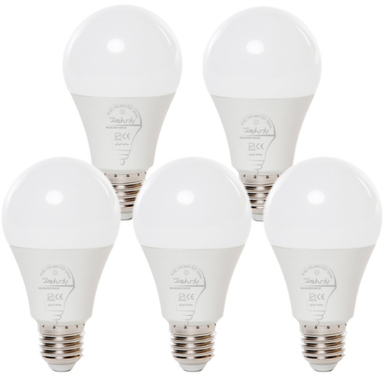 لامپ ال ای دی 25 وات پارس اروندالکتریک مدل پایهE27 بسته 5 عددی