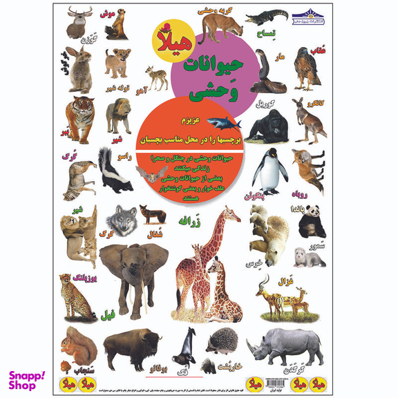 کتاب بگرد و پیدا کن در جنگل اثر کیوان سالمی فیه انتشارات زرین مهر