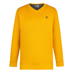 پلیور مردانه مالدینی مدل po-010