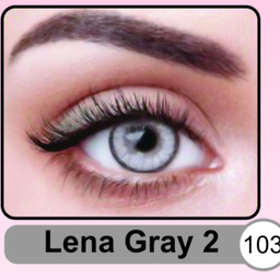 لنز چشم سالیانه نیوویژن رنگ Lena Gray 2 شماره 103