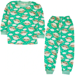 ست تیشرت آستین بلند و شلوار راحتی نوزادی مدل ببعی کد 4156 رنگ سبز