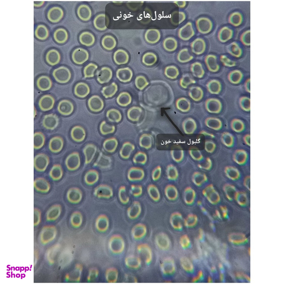 میکروسکوپ دوچشمی مدل Binocular 1000X به همراه کیف حمل