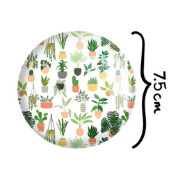 آینه جیبی خندالو طرح کاکتوس مدل تاشو کد 25491