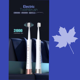 مسواک برقی مدل MDHL-806