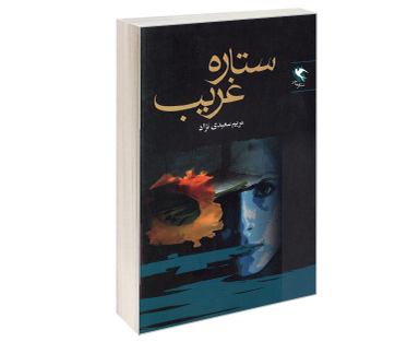 کتاب ستاره غریب اثر مریم سعیدی نژاد نشر مهاجر