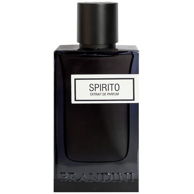 ادکلن مردانه برندینی مدل SPIRITO حجم 90 میلی لیتر