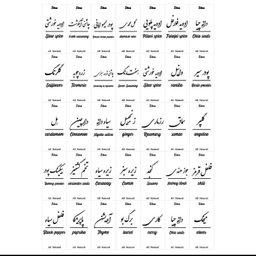 جای ادویه مدل مکارتی کد NK12 به همراه سری نمک پاش و لیبل ضد آب مجموعه 12 عددی