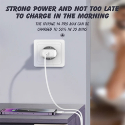 آداپتور شارژر 27 وات الدینیو مدل A1206C به همراه کابل تبدیل USB-C