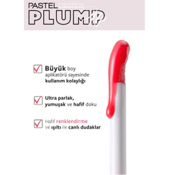 برق لب حجم دهنده و آبرسان پاستل مدل PULMP UP شماره 204