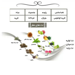 ادوپرفیوم مردانه ایفوریا مدل اونتیوس با رایحه تلخ حجم 100 میلی لیتر