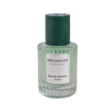 ادوپرفیوم مردانه هلثی دیزاین مدل پلاکدار مگاماره حجم 30 میلی لیتر