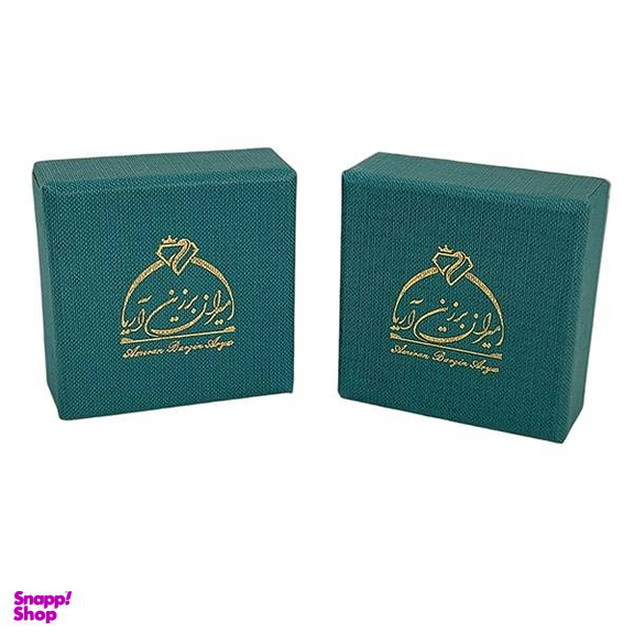 گوشواره طلا 18 عیار زنانه امیران برزین آریا کد 1067