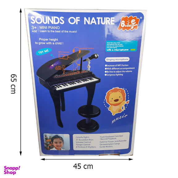 اسباب بازی موزیکال مدل پیانو پایه دار و میکروفون کد 88022