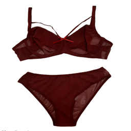 لباس زیر زنانه ست شورت و سوتین تیریتی مدل توری