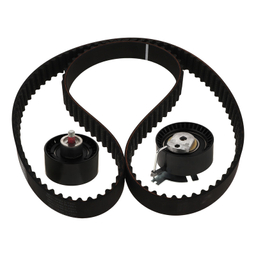 کیت تسمه تایم رایکالتون کد RT1077-134Z مدل 134 دندانه HNBR مناسب پژو 206 تیپ 5 و پژو 207