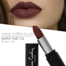 رژ لب جامد پیر کاردین کد Brown Red 11204