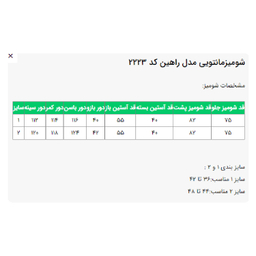 تونیک زنانه السانا مدل راهین کد 222390 رنگ صورتی