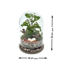 تراریوم مدل فلکسی کوتاه