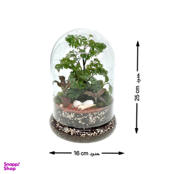 تراریوم مدل فلکسی کوتاه