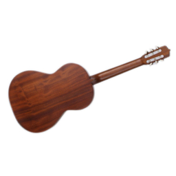 گیتار طرح پارسی مدل M5