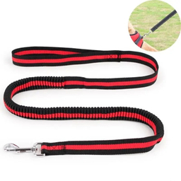 بند قلاده سگ کد 23