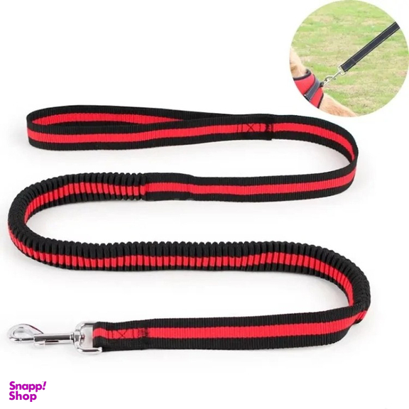 بند قلاده سگ کد 23