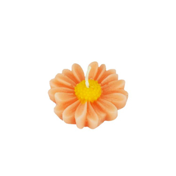 شمع طرح گل بابونه مجموعه 2 عددی