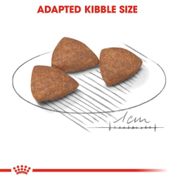غذا خشک رویال کنین مدل Mini Indoor Puppy وزن 1.5 کیلوگرم