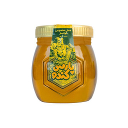 عسل مخصوص خوانسار پارس کندو وزن ۱ کیلوگرم