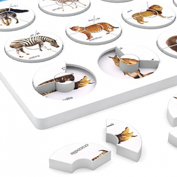 بازی فکری هوش چین 4 تکه