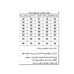 پالتو مردانه مدل سناتور خاویاری رنگ طوسی