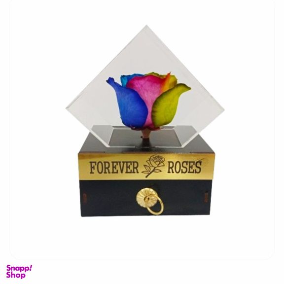 گل خشک رز جاودان کد 507