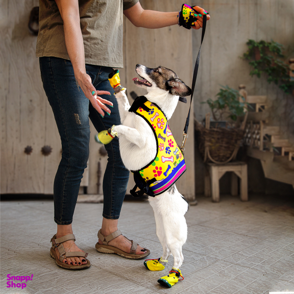 قلاده کتفی سگ و گربه تادو کد S106 سایز M